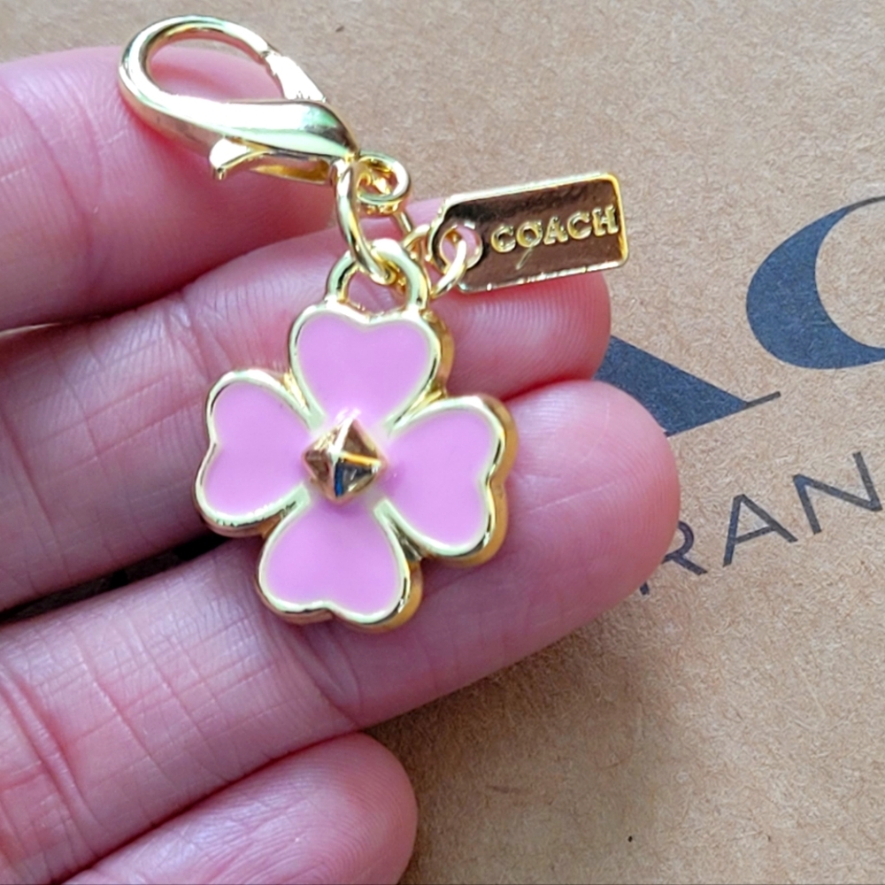 Coach - Picture 4 of 7